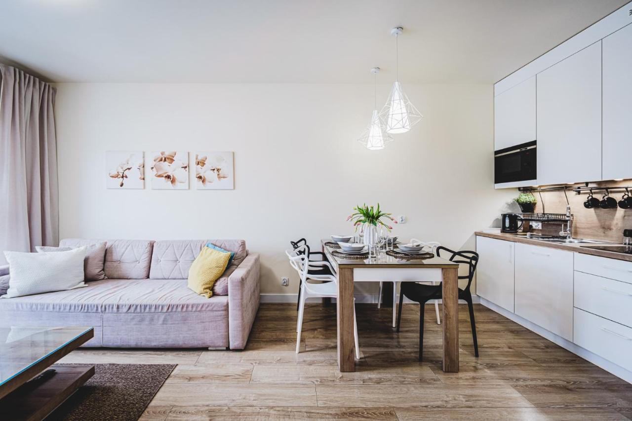 Apartament Niko Stary Toruń Exterior foto